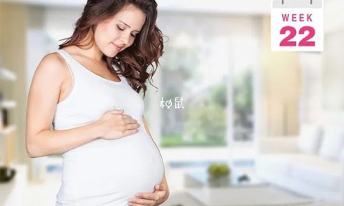 复方胃蛋白酶颗粒的功效与禁忌-复方胃蛋白酶颗粒主要成分是什么,中国复方胃蛋白酶颗粒 药品说明书网站
